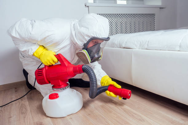 Best Pest Removal Services  in Elberta, AL