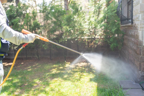 Best Bed Bug Extermination  in Elberta, AL