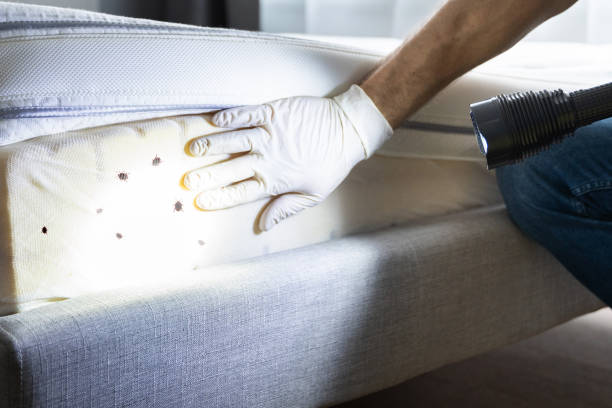 Best Exterminator Services  in Elberta, AL
