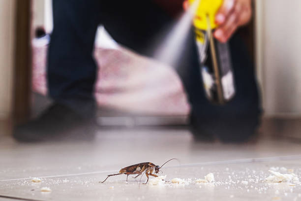 Best Best Pest Control Companies  in Elberta, AL