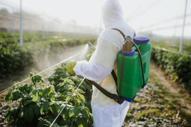 Best Local Pest Control Services  in Elberta, AL